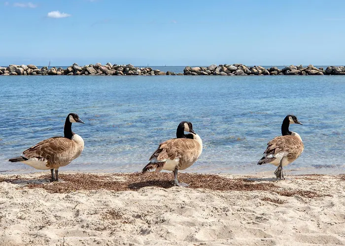 Drachenhoehle 603 Apartament *